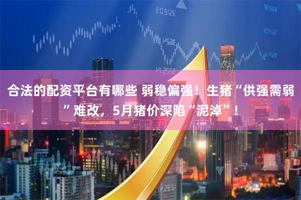 合法的配资平台有哪些 弱稳偏强!生猪“供强需弱”难改,5月猪价深陷“泥淖”!